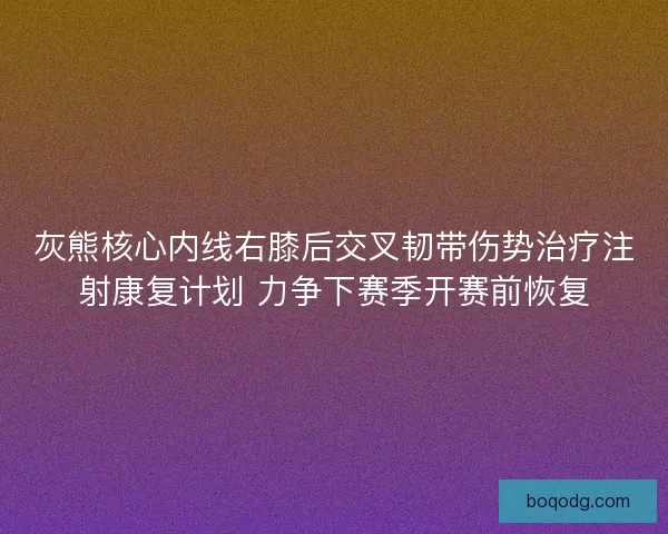 灰熊核心内线右膝后交叉韧带伤势治疗注射康复计划 力争下赛季开赛前恢复